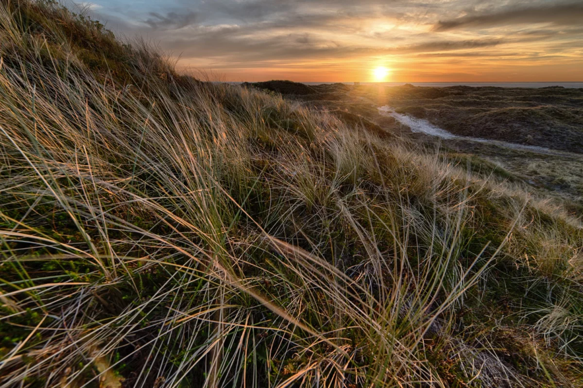 Jak wynająć krzesła w Warszawie przydatnie?