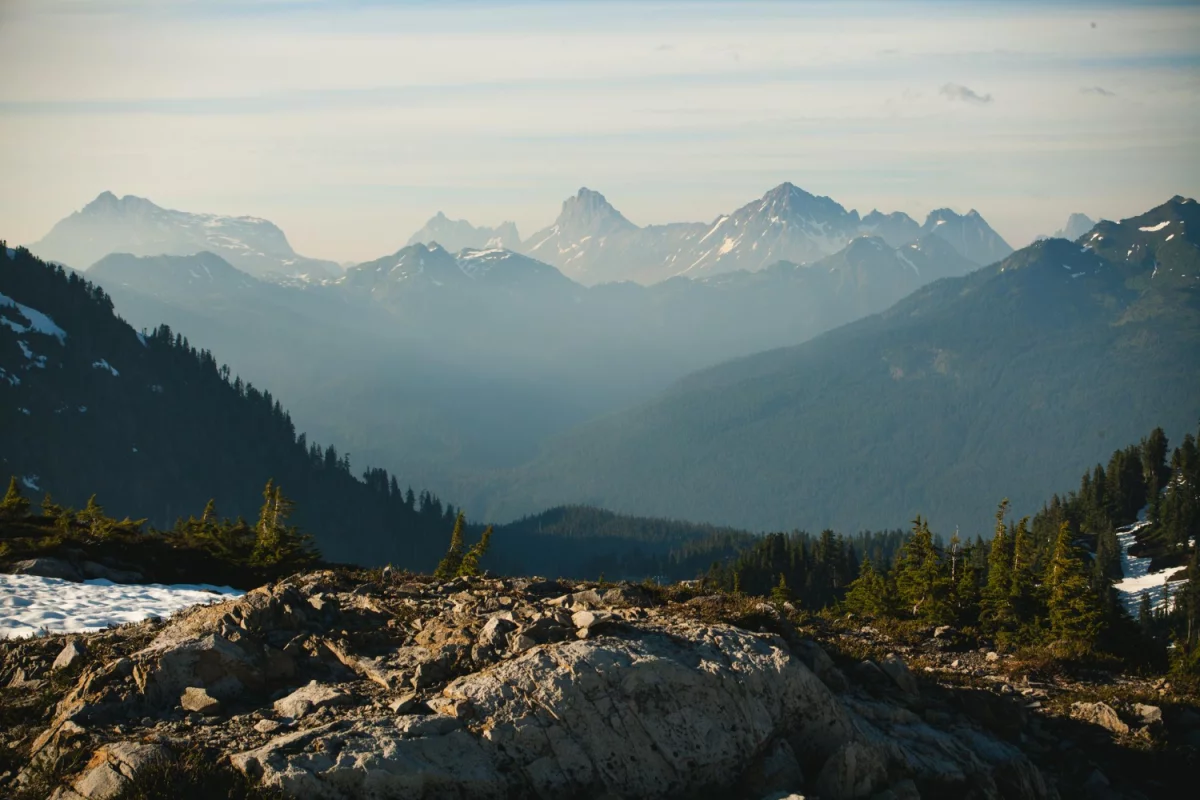 zobaczyć pokaz tańca dobrze?