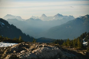 nauczyć się tańca? Dokładnie!